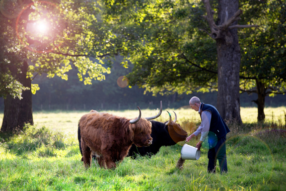 James And Cow 1