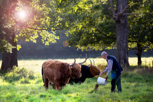 James And Cow 1