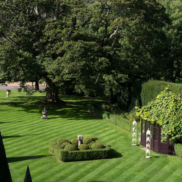Garden 8