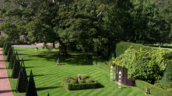 Our beautiful lawns